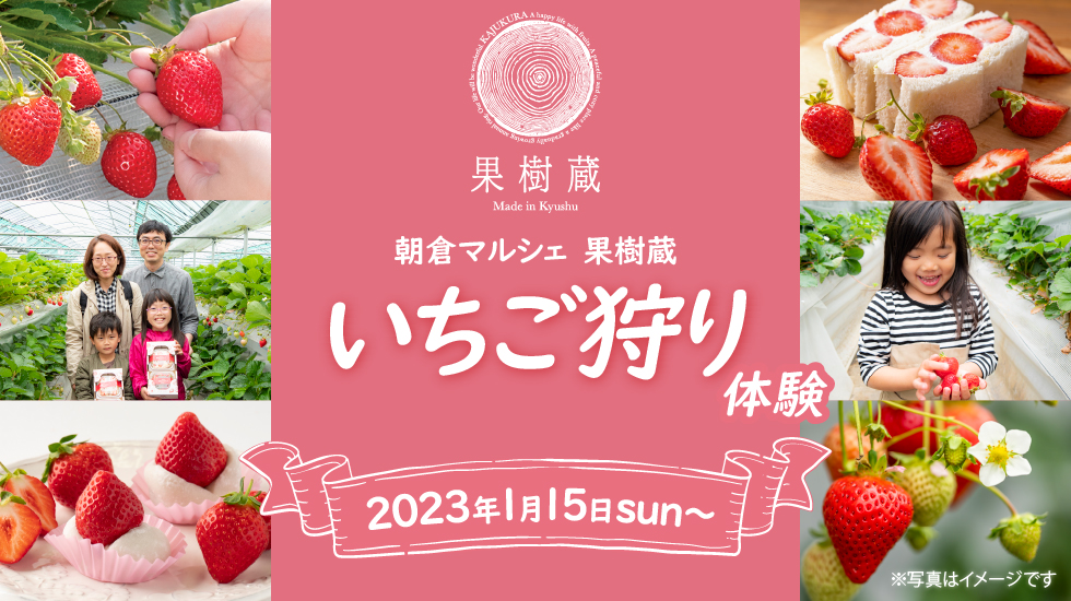【2023年は終了しました】『朝倉マルシェ 果樹蔵』2023年いちご狩り体験、予約受付スタート！