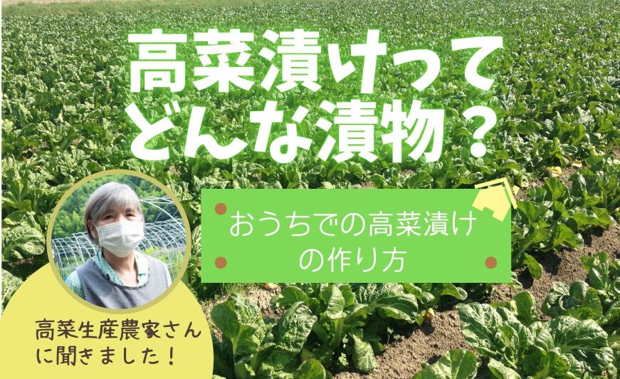 高菜漬けってどんな漬物 生産者に聞いたおうちでの高菜漬けの作り方 知識情報 知識情報top やまやのおいしいもの部 やまやコミュニケーションズ